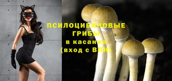 МДПВ Бугульма