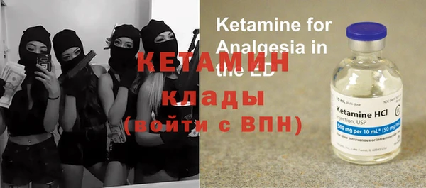 шишки Бородино