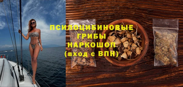 дурь Богородицк