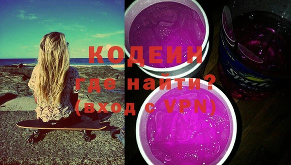 шишки Бородино