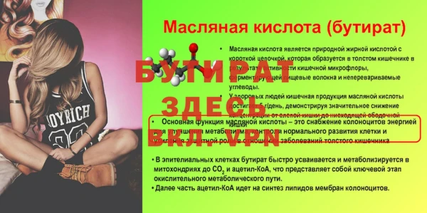 шишки Бородино