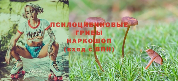 apvp Бронницы