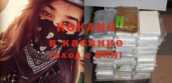 сатива Богданович
