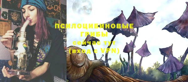 МДПВ Бугульма