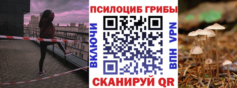 купить  цена  Гудермес  Галлюциногенные грибы GOLDEN TEACHER 